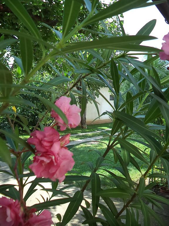 Attila Vendeghaz Apartment Balatonboglár Екстериор снимка